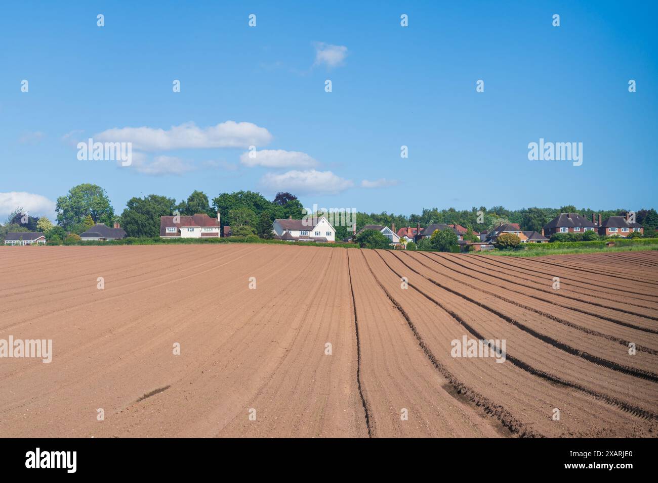 Linee di terreni agricoli trincee in un campo verso case nella campagna inglese Foto Stock