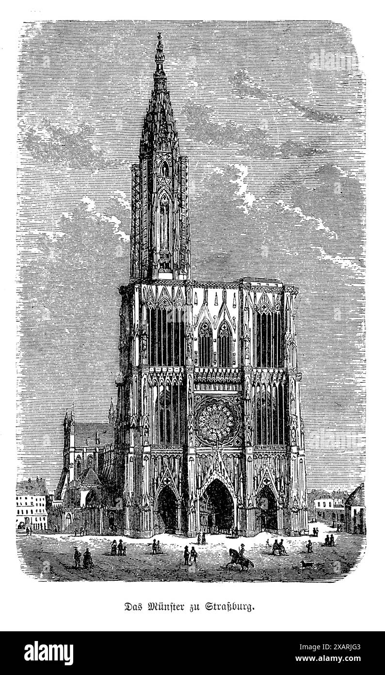 Questa squisita incisione antica in bianco e nero mostra la vista frontale della Cattedrale di Strasburgo, un capolavoro di architettura gotica. L'illustrazione dettagliata cattura l'intricata facciata, con le sue sculture ornate, le torreggianti guglie e il famoso rosone. Questa incisione non solo mette in risalto la grandezza architettonica della cattedrale, ma serve anche come testimonianza dell'abilità degli incisori storici che hanno conservato tale magnificenza sulla carta. Foto Stock