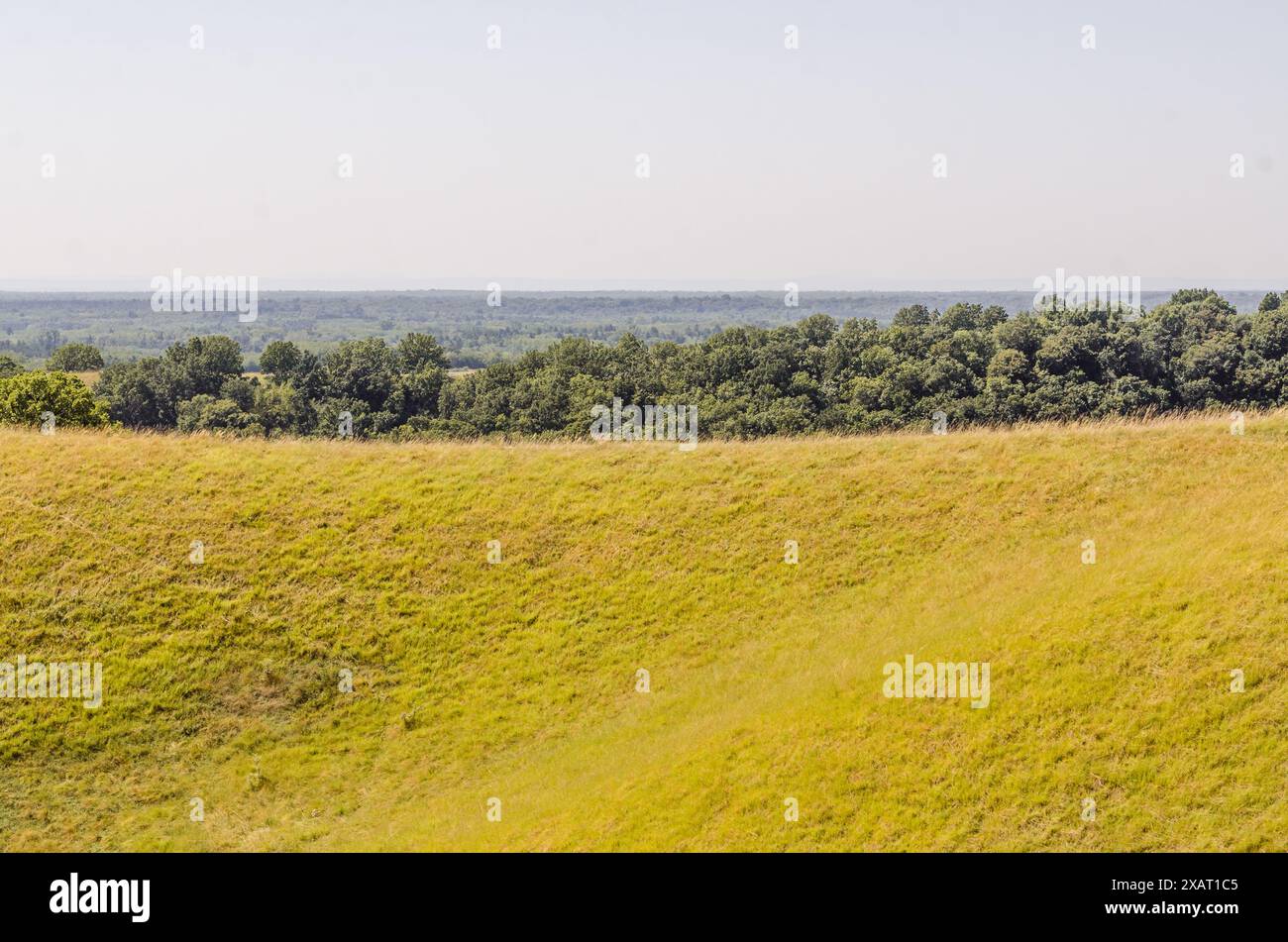 Grassland vista a Deliblato Sands, Serbia Foto Stock