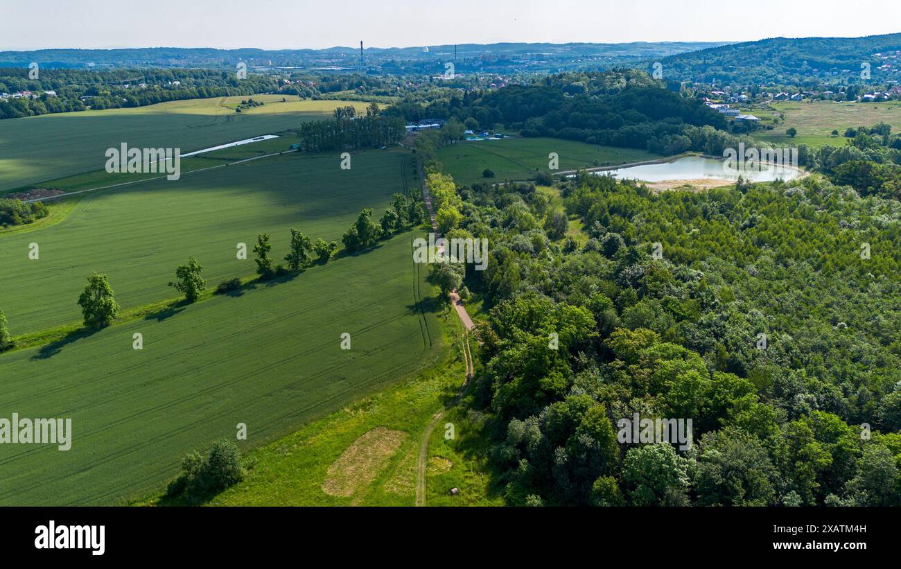 Vista aerea dei campi verdi e della foresta in estate Foto Stock