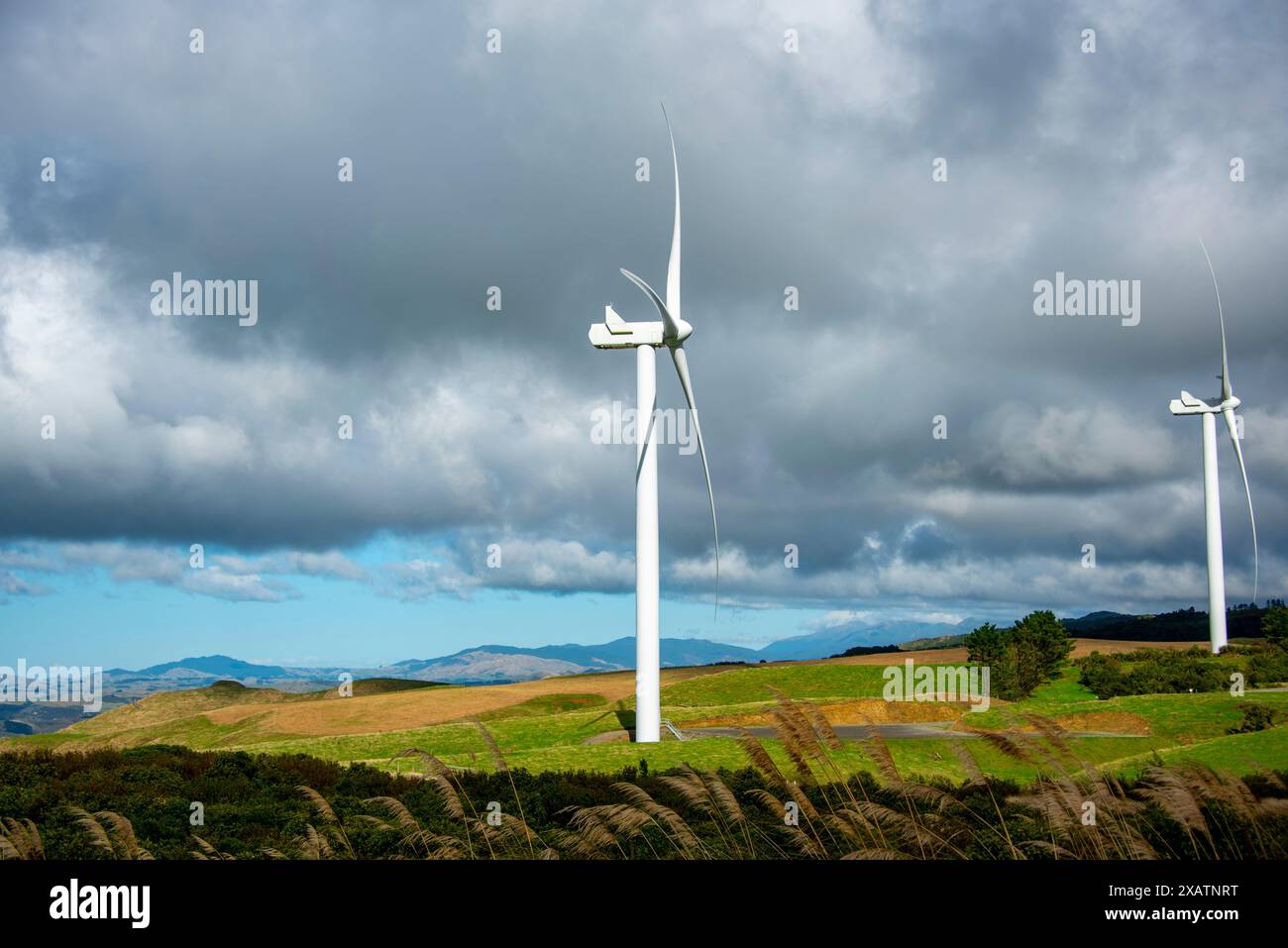 Parco eolico te Apiti - nuova Zelanda Foto Stock