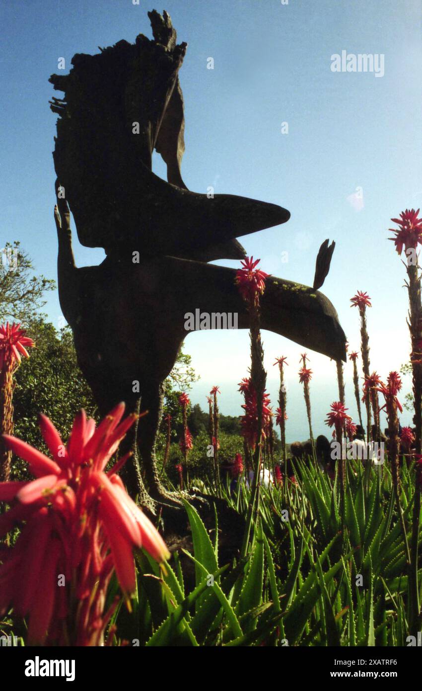 California, Stati Uniti, circa 1994. L'uccello Phoenix scolpito da Edmund Kara da un pezzo di legno. Foto Stock