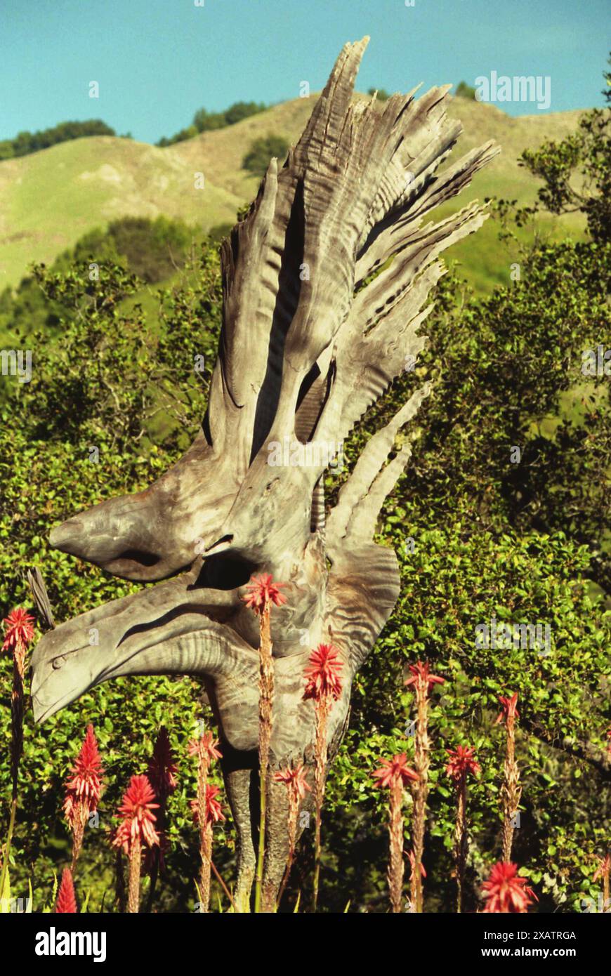 California, Stati Uniti, circa 1994. L'uccello Phoenix scolpito da Edmund Kara da un pezzo di legno. Foto Stock