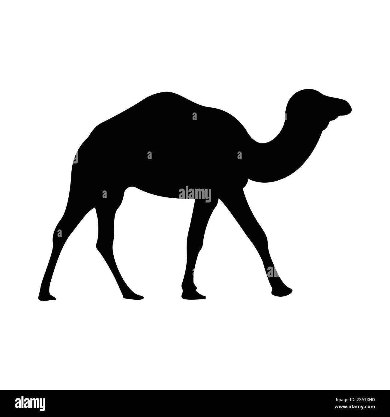 Icona vettore ombra cammello. Ombra vettoriale icona cammello eid ul adha Illustrazione Vettoriale