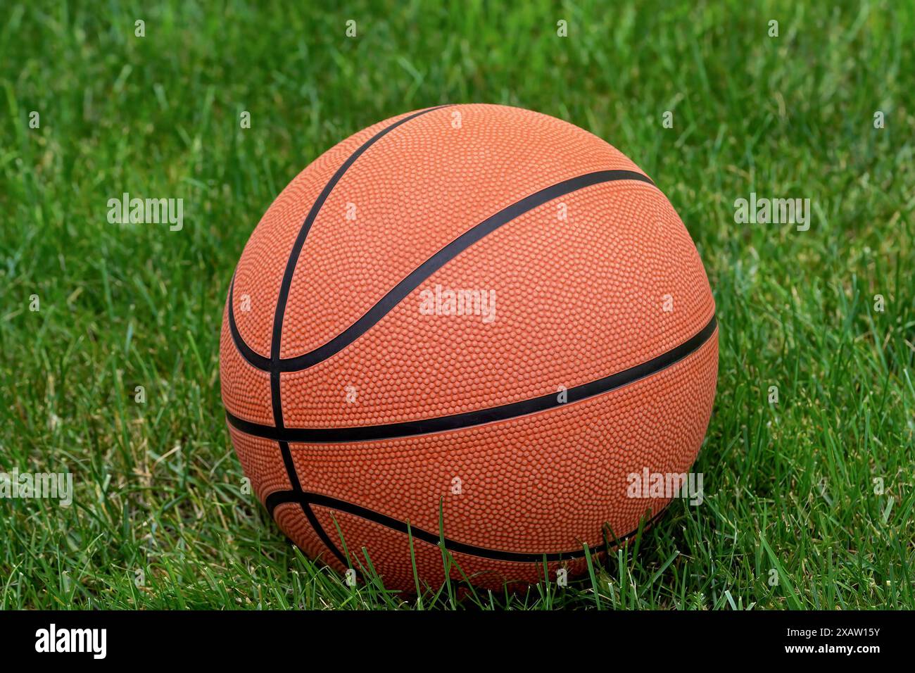 Pallacanestro su erba verde lussureggiante, apparentemente pronto per il gioco. La palla è caratterizzata da linee nere e fossette riconoscibili. Foto Stock
