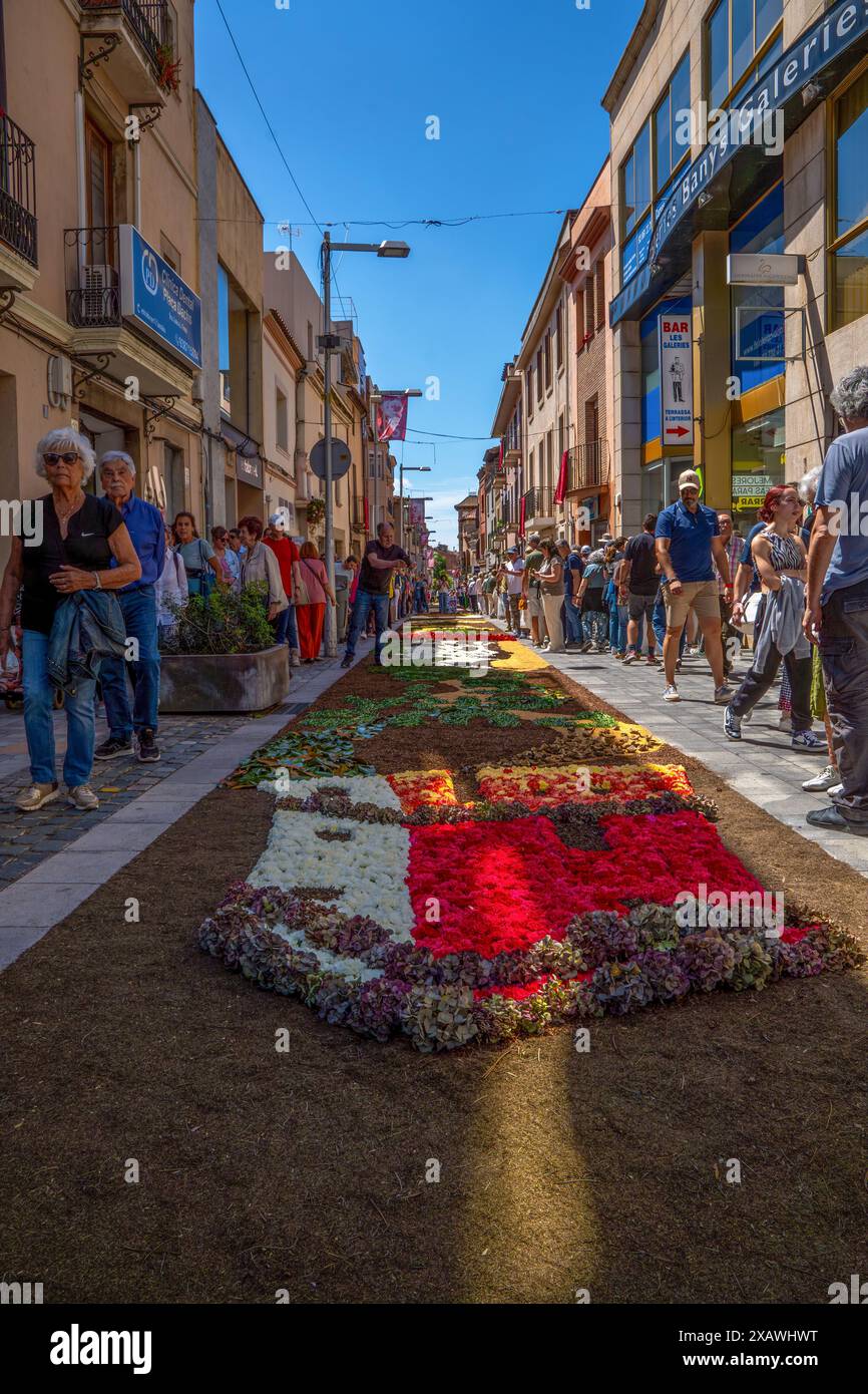 Persone e una coppia di anziani camminano in una giornata di sole lungo una strada con un tappeto di fiori durante le festività del Corpus Domini nella Garriga di ca Foto Stock