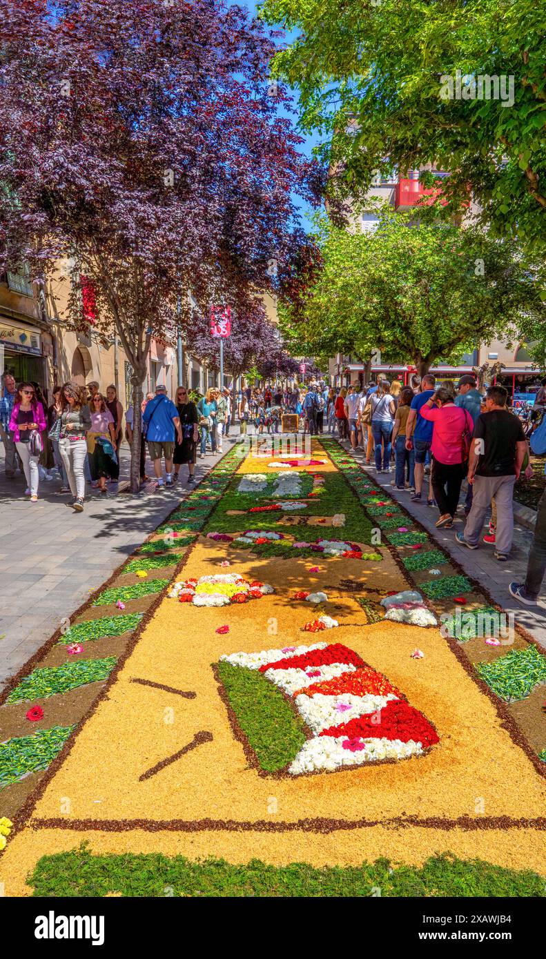 Persone e famiglie che camminano in una giornata di sole su una strada decorata con un tappeto di disegni floreali e creazioni artistiche durante il Corpus Christi nel G. Foto Stock