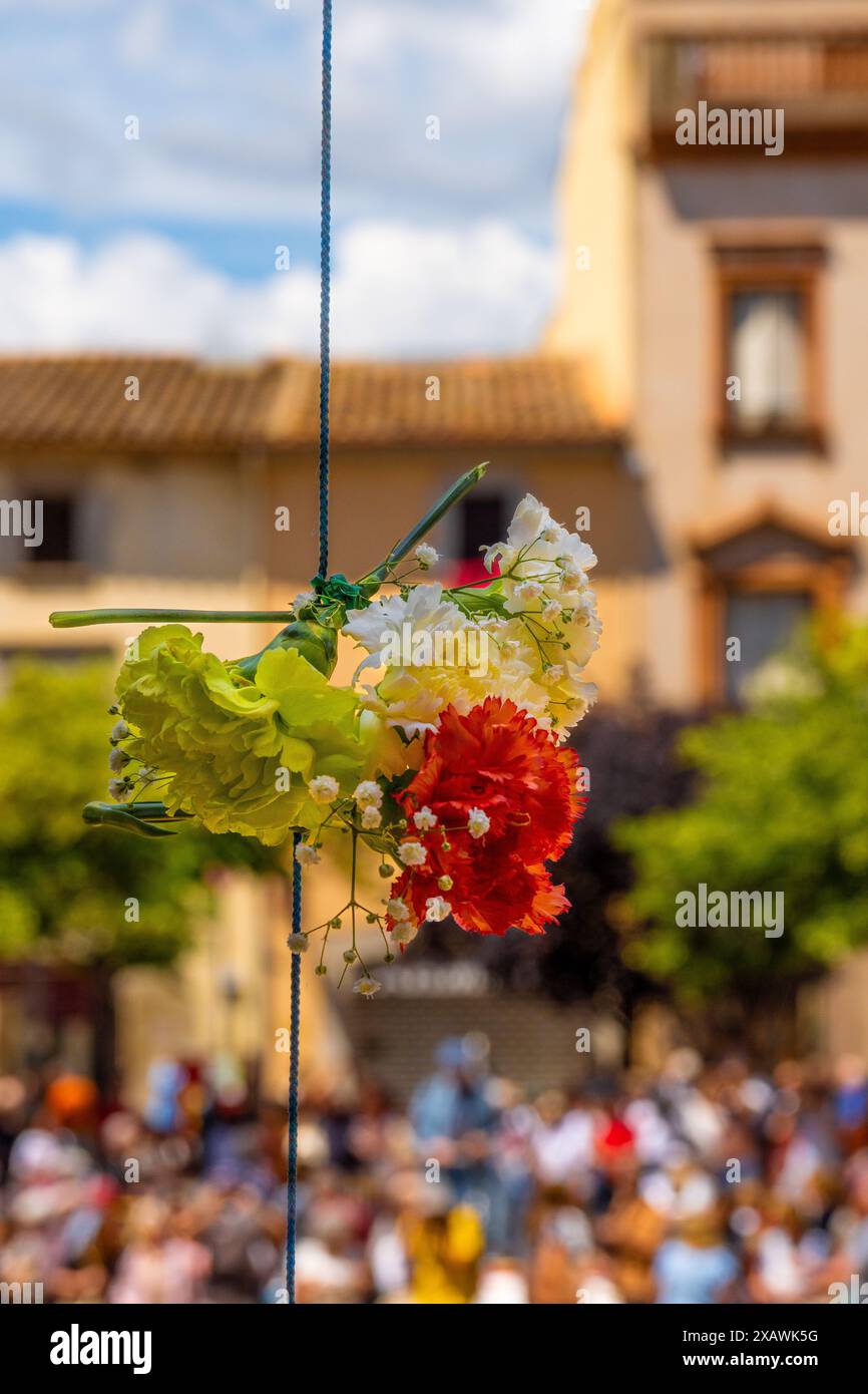 Tre fiori rossi, bianchi e gialli appesi verticalmente da una corda blu per la celebrazione del corpus floreale di la Garriga con sfondo sfocato Foto Stock