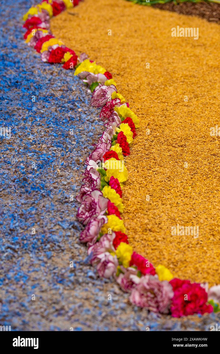 Serpente dalla forma sinuosa di fiori rossi, rosa e gialli su uno sfondo di semi gialli e blu creando un tappeto di fiori e vegetazione per il Foto Stock