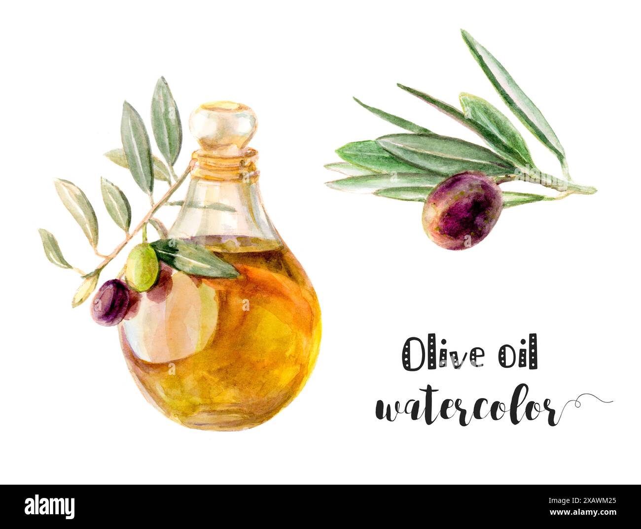Bottiglia di olio d'oliva dipinta a mano con Olive e foglie, illustrazione acquerello Foto Stock Bottiglia di olio d'oliva dipinta a mano con Olive e foglie, illustrazione acquerello Foto Stock