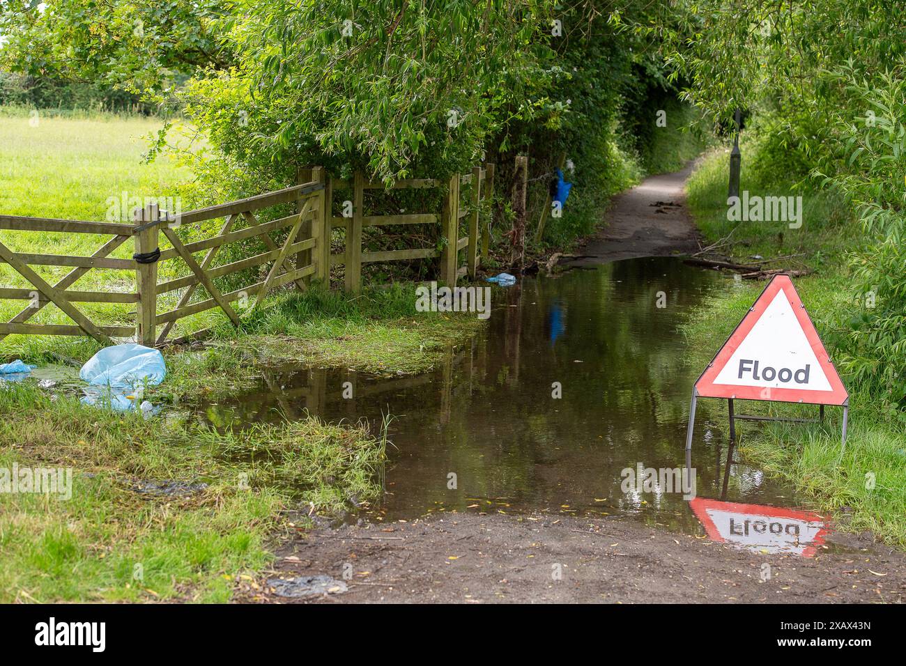 Eton Wick, Windsor, Berkshire, Regno Unito. 9 giugno 2024. Il sentiero tra il villaggio di Eton Wick e Slough, accanto a Roundmoor Ditch, è nuovamente allagato. Un certo numero di residenti hanno anche acqua alluvionale nei loro giardini. I lavori di trattamento delle acque reflue del Tamigi a Slough possono essere scaricati nel Roundmoor Ditch quando piove, tuttavia, i livelli dei corsi d'acqua sono molto alti al momento nonostante le piogge siano state scarse di recente. La gente del posto non è stata in grado di rimuovere le erbacce in eccesso nel flusso a causa dei timori sanitari di contaminazione nell'acqua. All'inizio di quest'anno c'erano così tante fognature nel flusso da Foto Stock