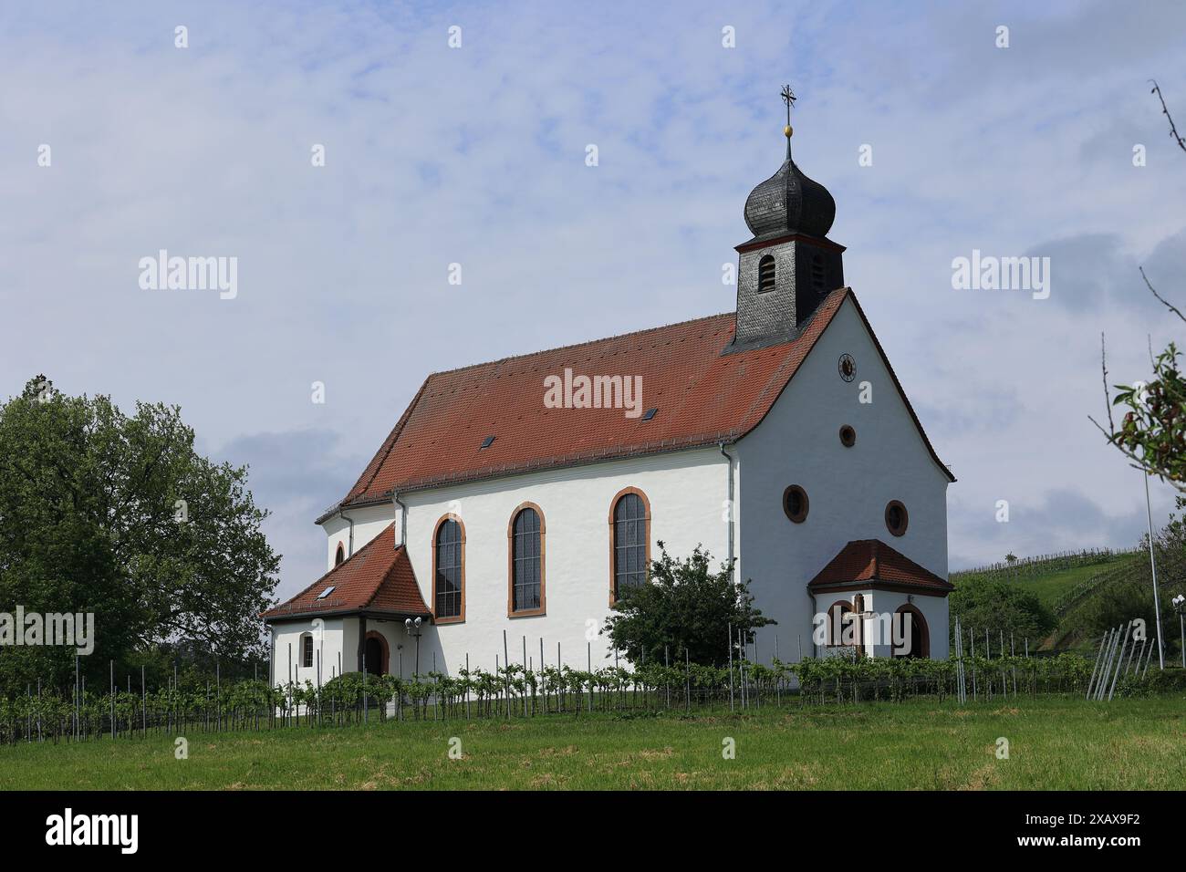 Vista sui vigneti fino alla Cappella di San Dionisio a Gleiszellen Gleishorbach Foto Stock