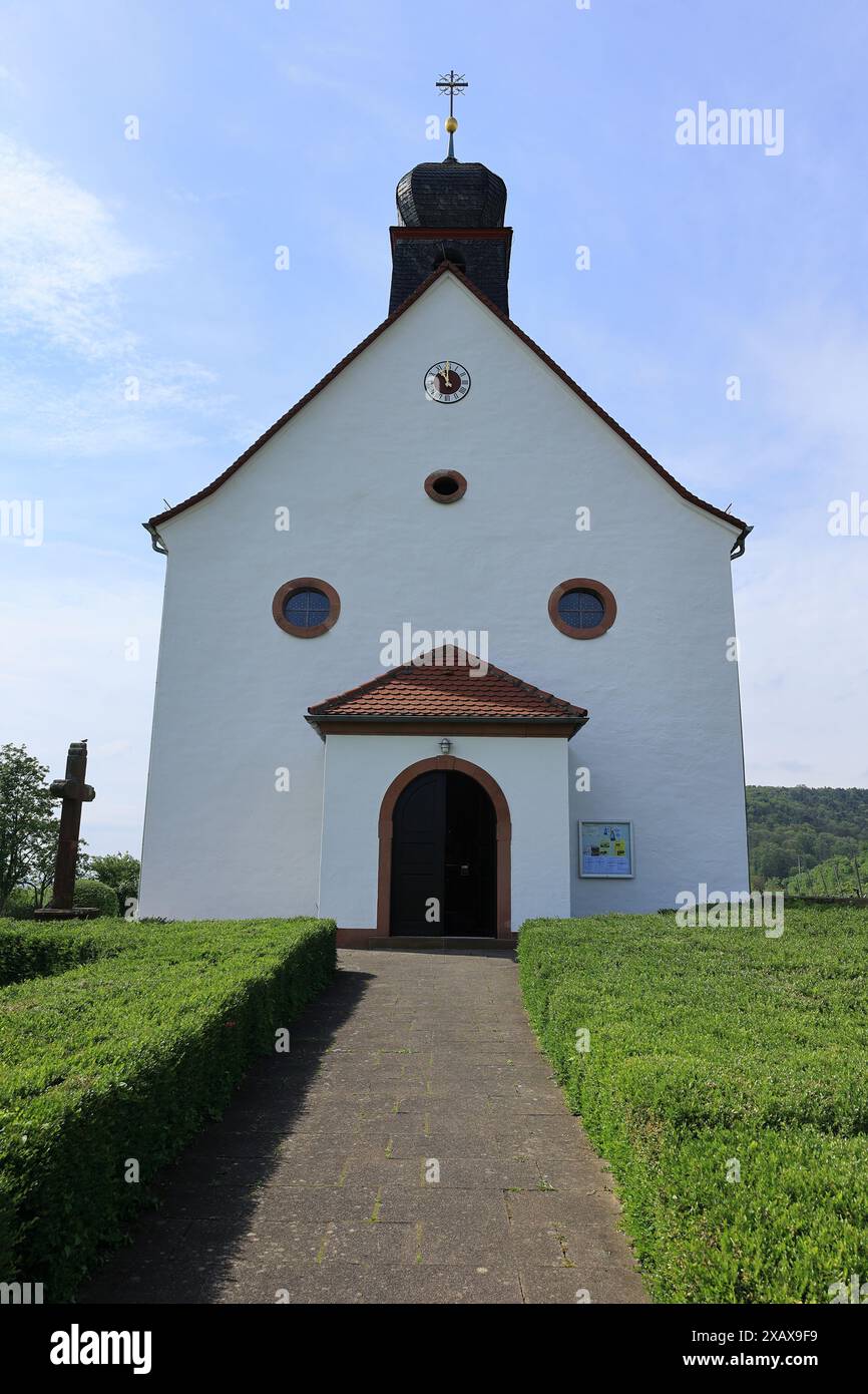 Vista sui vigneti fino alla Cappella di San Dionisio a Gleiszellen Gleishorbach Foto Stock