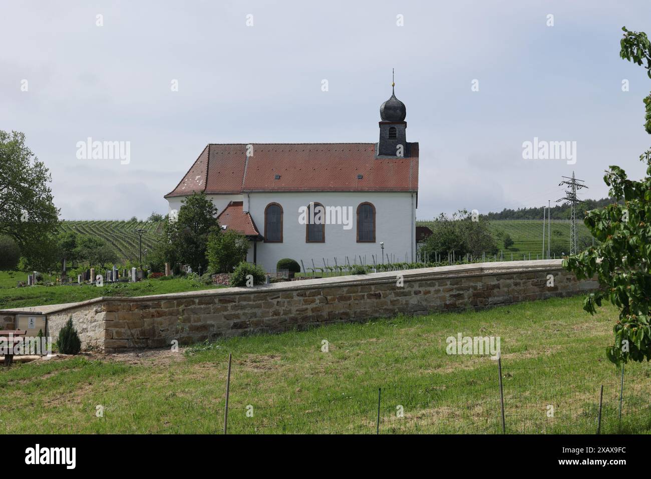 Vista sui vigneti fino alla Cappella di San Dionisio a Gleiszellen Gleishorbach Foto Stock