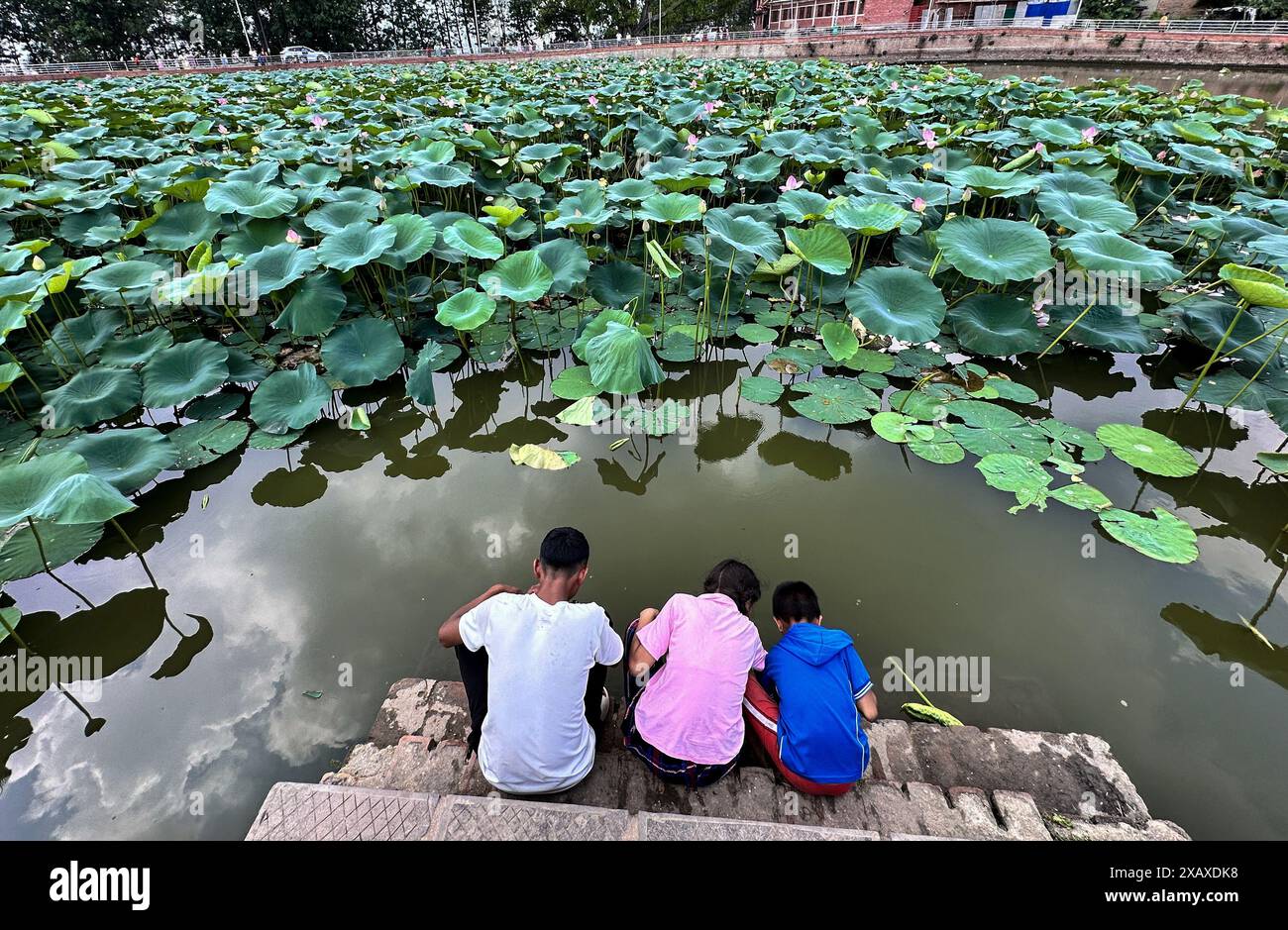 9 giugno 2024: I bambini giocano allo storico Kamal Pokhari (stagno di loto), un tranquillo stagno pieno di fiori di loto a Bode a Bhaktapur, Nepal, il 9 giugno 2024. Lo stagno dei loti è l'attrazione principale e una delle principali destinazioni turistiche della città. (Credit Image: © Sunil Sharma/ZUMA Press Wire) SOLO PER USO EDITORIALE! Non per USO commerciale! Crediti: ZUMA Press, Inc./Alamy Live News Foto Stock