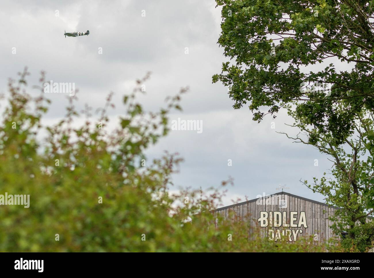 Fotografia aerea di Spitfire IX durante il volo mostra sopra Bidlea Dairy Foto Stock