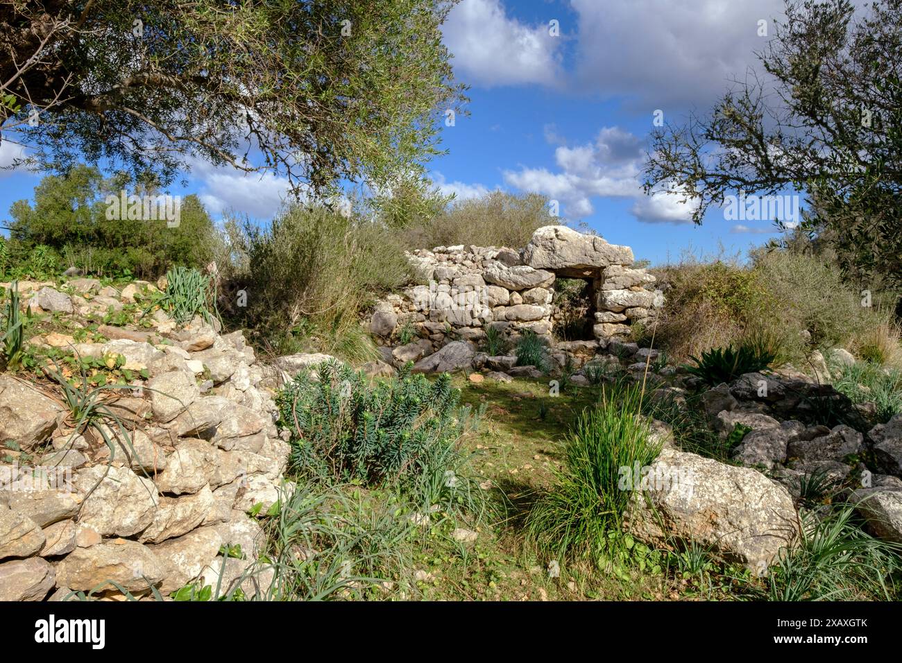 Talaiot, Son Ferrandell-Son Oleza, i millennio a.C., Valldemossa, Maiorca, isole Baleari, Spagna Foto Stock