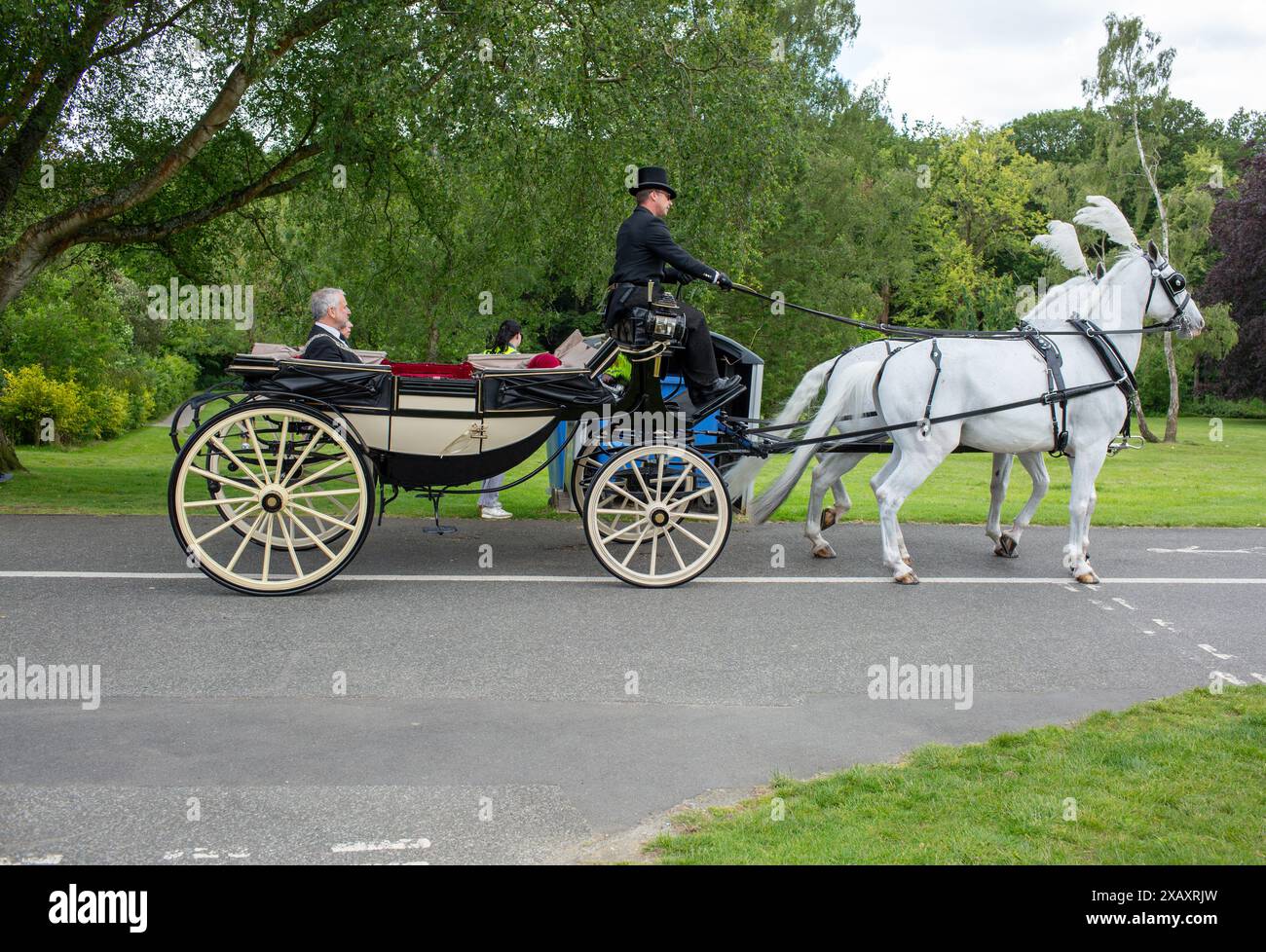 Brentwood, Regno Unito. 9 giugno 2024. Mark Haigh, il nuovo sindaco di Brentwood, arriva all'Annual Strawberry Sports Festival in carrozza aperta fornita da Bennett's, direttori funebri Credit: Richard Lincoln/Alamy Live News Foto Stock
