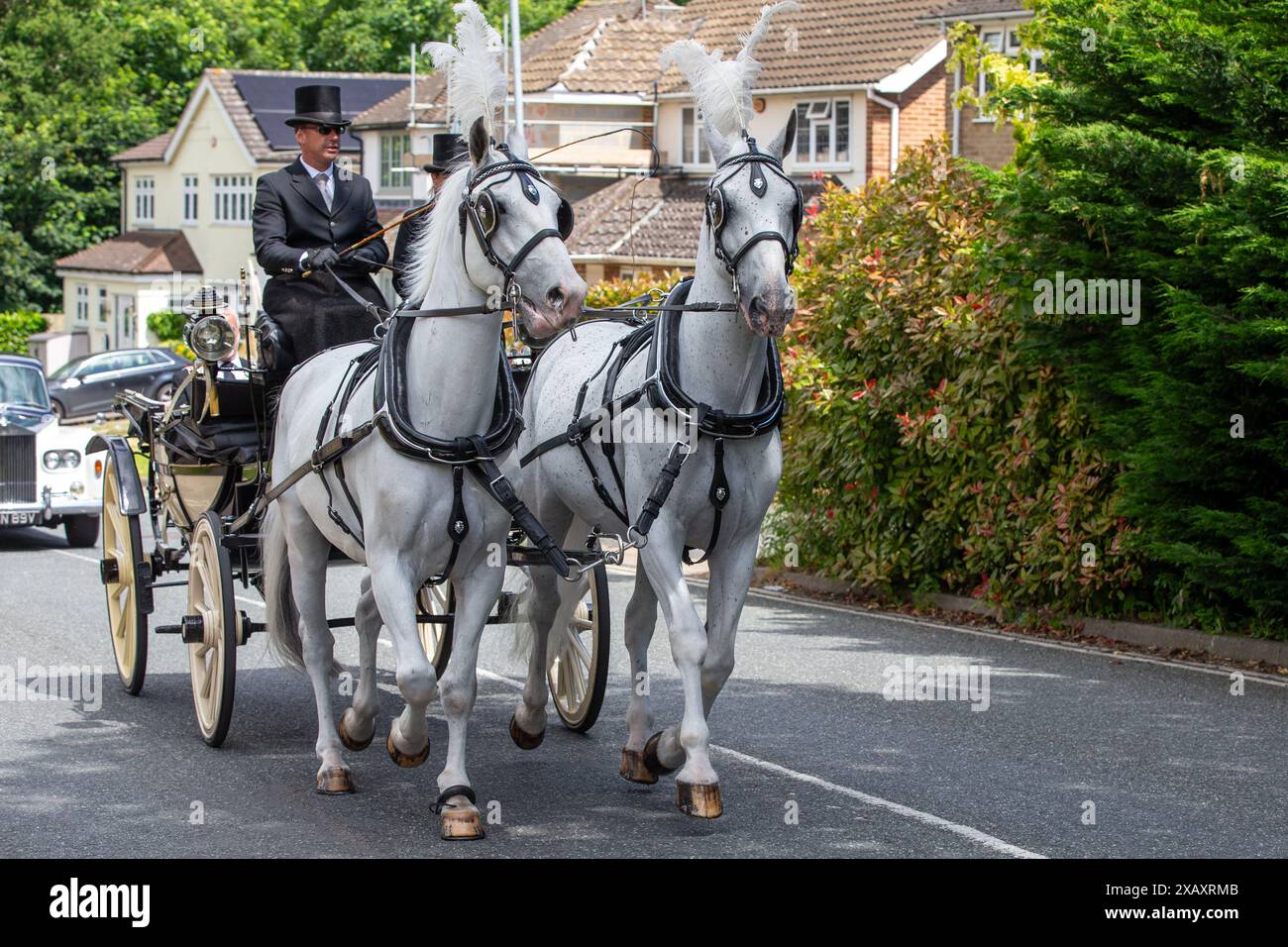 Brentwood, Regno Unito. 9 giugno 2024. Mark Haigh, il nuovo sindaco di Brentwood, arriva all'Annual Strawberry Sports Festival in carrozza aperta fornita da Bennett's, direttori funebri Credit: Richard Lincoln/Alamy Live News Foto Stock