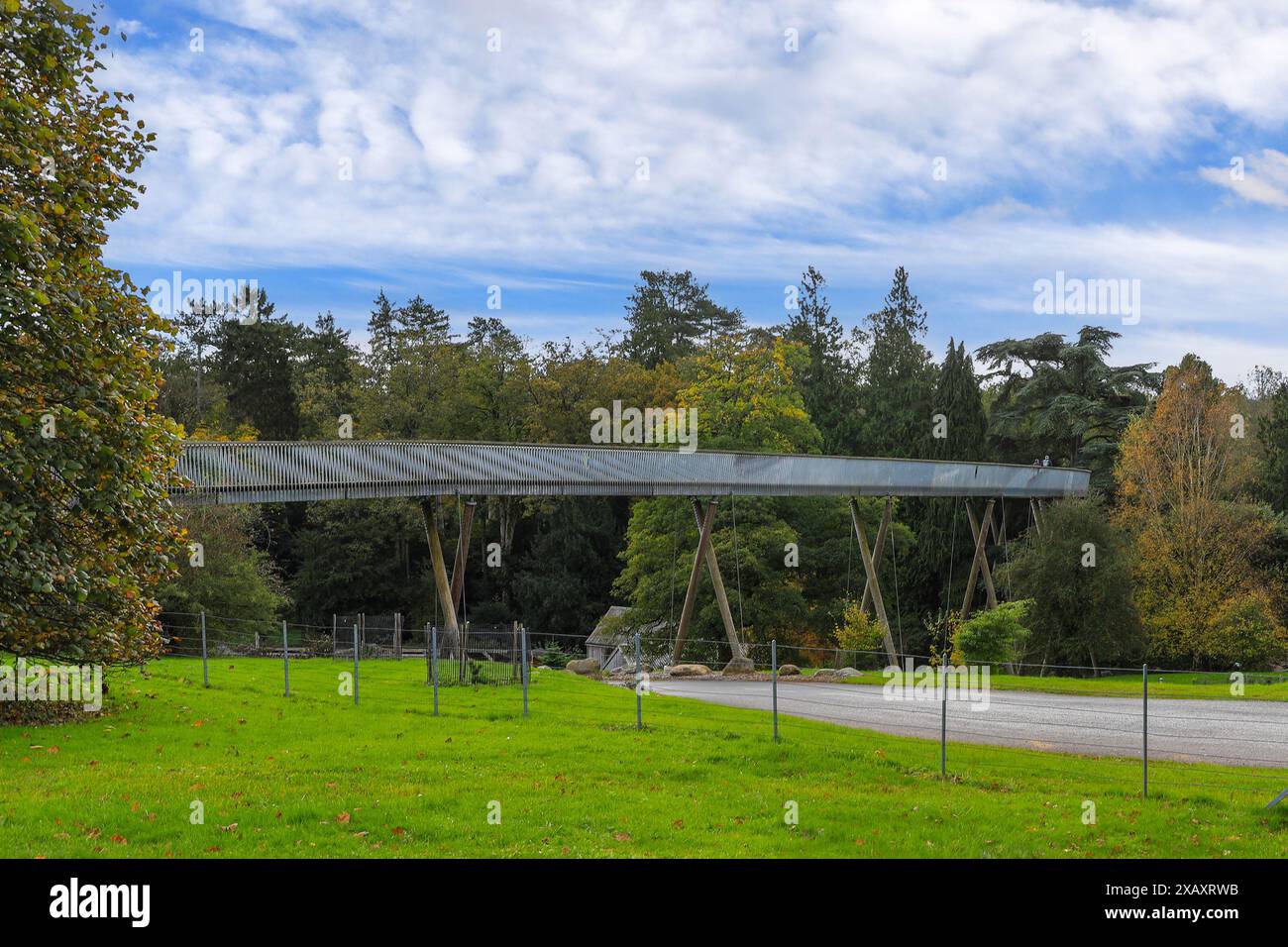 The Stihl Treetop Walkway at the Westonbirt Arboretum, Tetbury, Gloucestershire, Inghilterra, Regno Unito Foto Stock