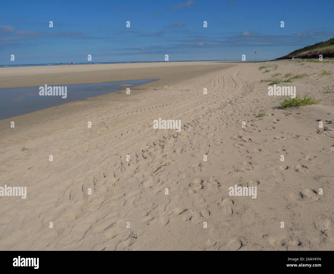 Ampia spiaggia sabbiosa con cielo limpido, tracce nella sabbia, con dune e costa sullo sfondo, Spiekeroog, Frisia orientale, GERMANIA Foto Stock