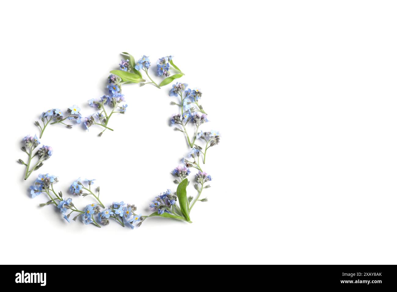 Cuore fatto con bellissimi fiori dimenticati, isolati sul bianco, vista dall'alto Foto Stock