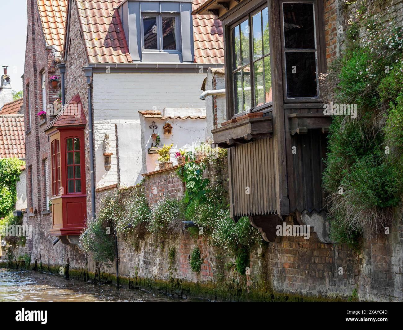 Vista dettagliata di una vecchia casa con una facciata bianca e rossa, decorazioni in legno e piante fiorite di fronte alle finestre, Bruges, Belgio Foto Stock