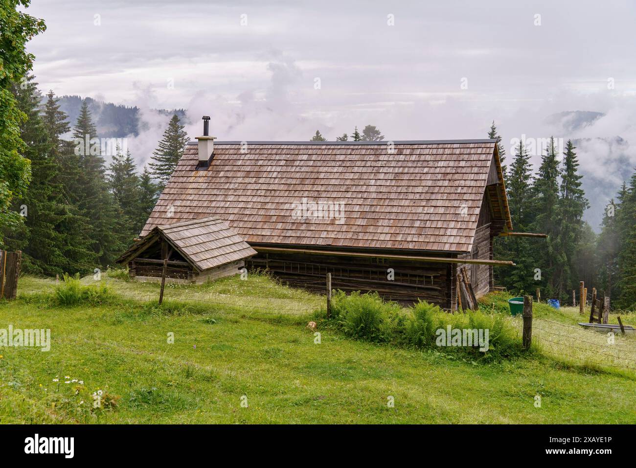 Una semplice capanna su un prato verde in una foresta nebbiosa, una tranquilla scena rurale, Gosau, Austria Foto Stock