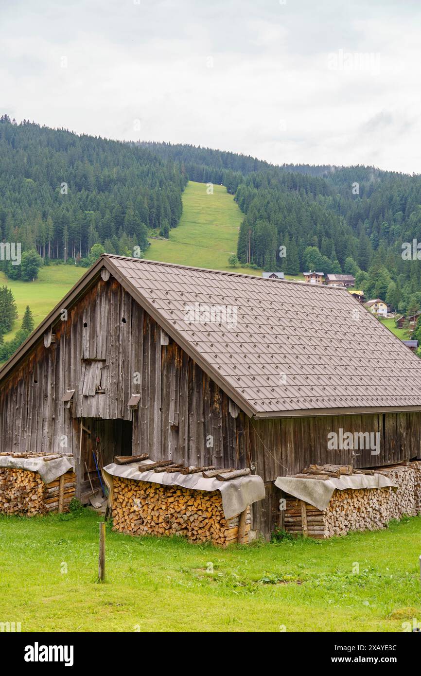 Capanna in legno con mucchi di legno sul bordo, incastonata in un paesaggio montano collinare e boscoso, Gosau, Austria Foto Stock