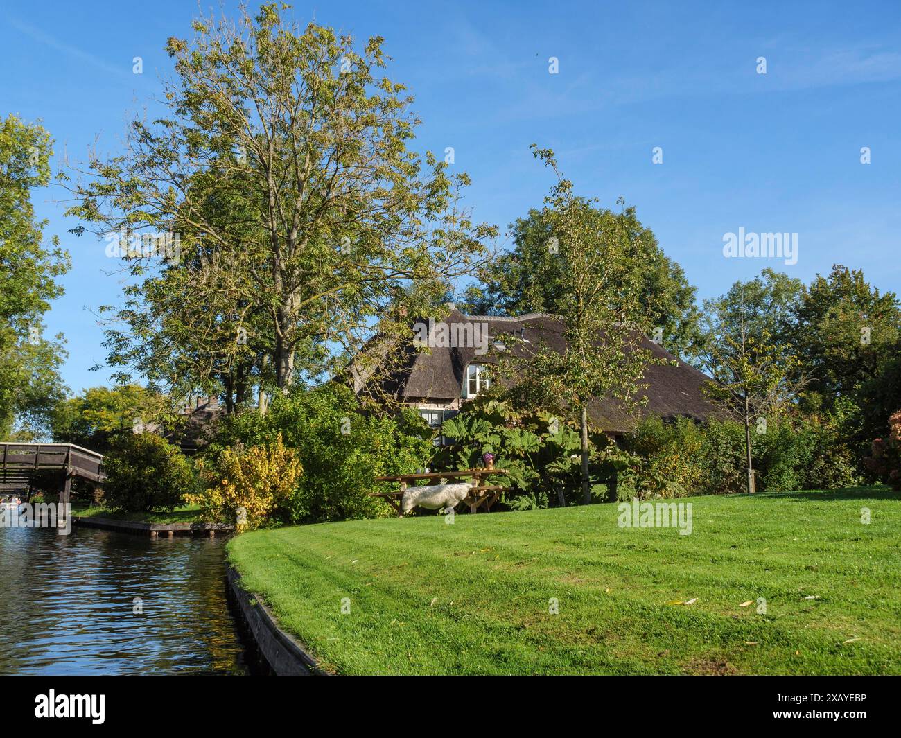 Una casa accogliente sull'acqua, circondata da alberi e un prato verde sotto un cielo azzurro, giethoorn, Paesi Bassi Foto Stock
