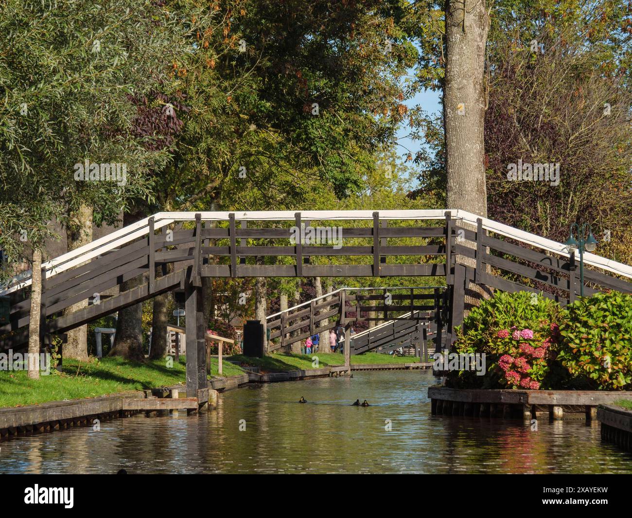 Idilliaco ponte di legno su un fiume tranquillo in un villaggio autunnale, giethoorn, Paesi Bassi Foto Stock