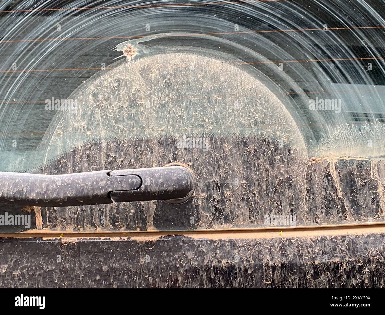 Cremona, Italia - 9 giugno 2024 il parabrezza retrò Dusty per auto nera in città ha bisogno di essere pulito, somigliante a una tempesta di sabbia del deserto con grigio, marrone e bianco Foto Stock