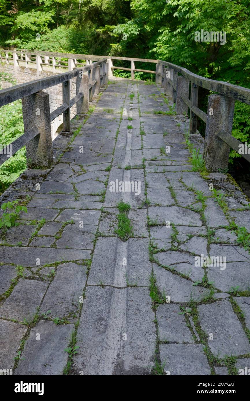 Teuchelsbruecke, Equaduct, Historical, Stone bridge, Stone, ponte, Wettbachschlucht, Wettbachklinge, Wettbach, parco naturale Schwaebisch-Fraenkischer Foto Stock