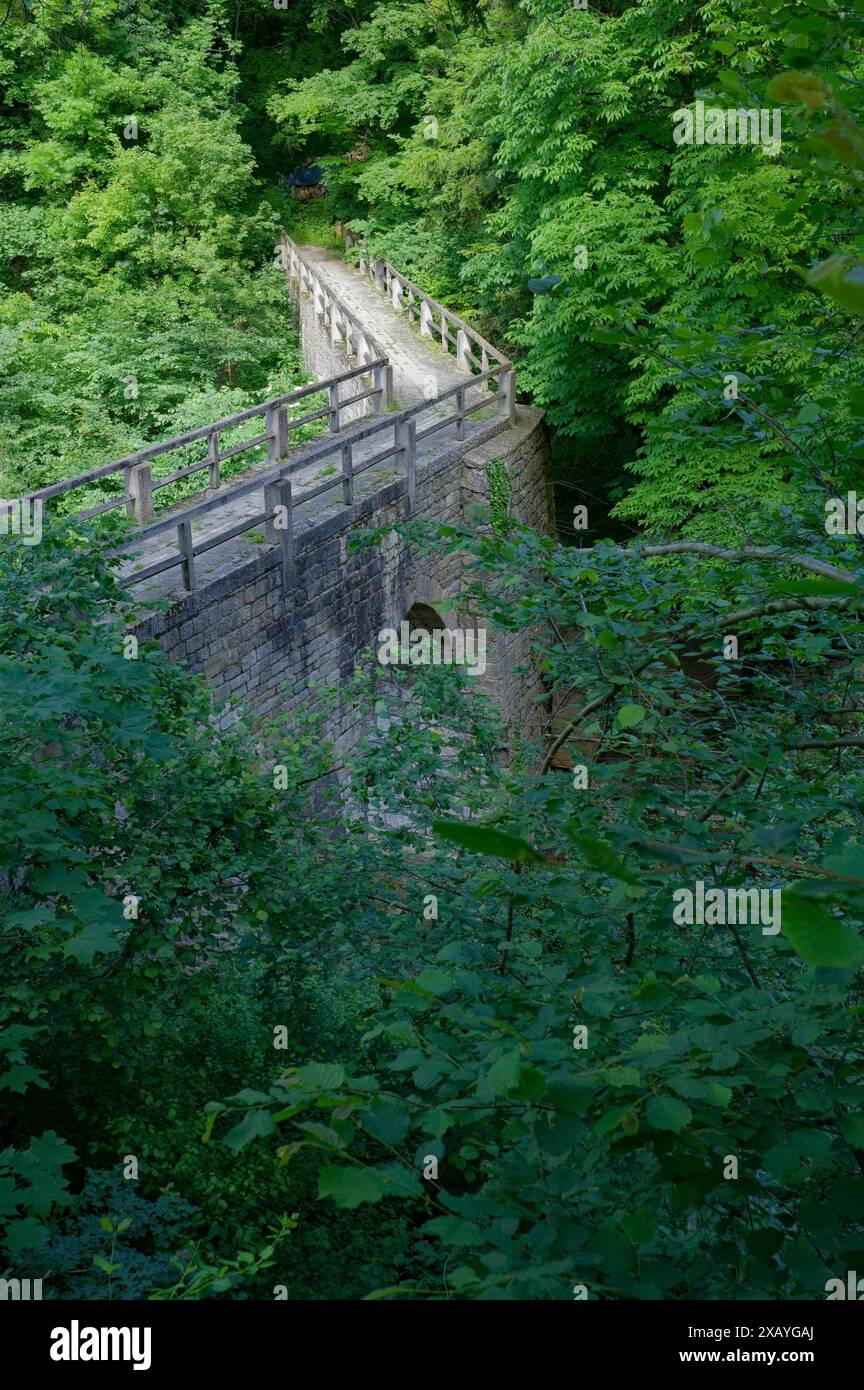 Teuchelsbruecke, Equaduct, Historical, Stone bridge, Stone, ponte, Wettbachschlucht, Wettbachklinge, Wettbach, parco naturale Schwaebisch-Fraenkischer Foto Stock