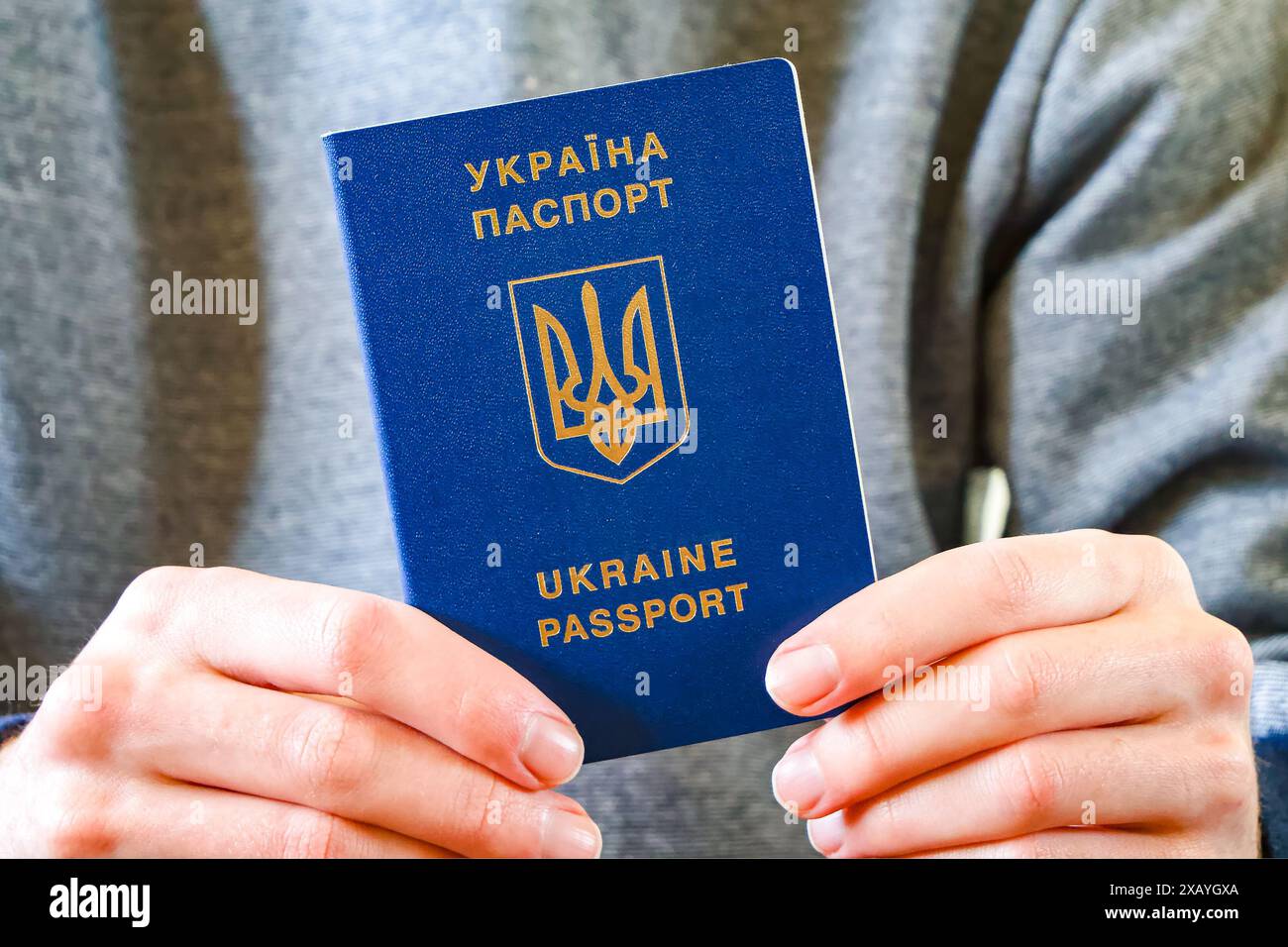 Documento di viaggio ufficiale ucraino, che mostra autenticità e status giuridico. Foto Stock