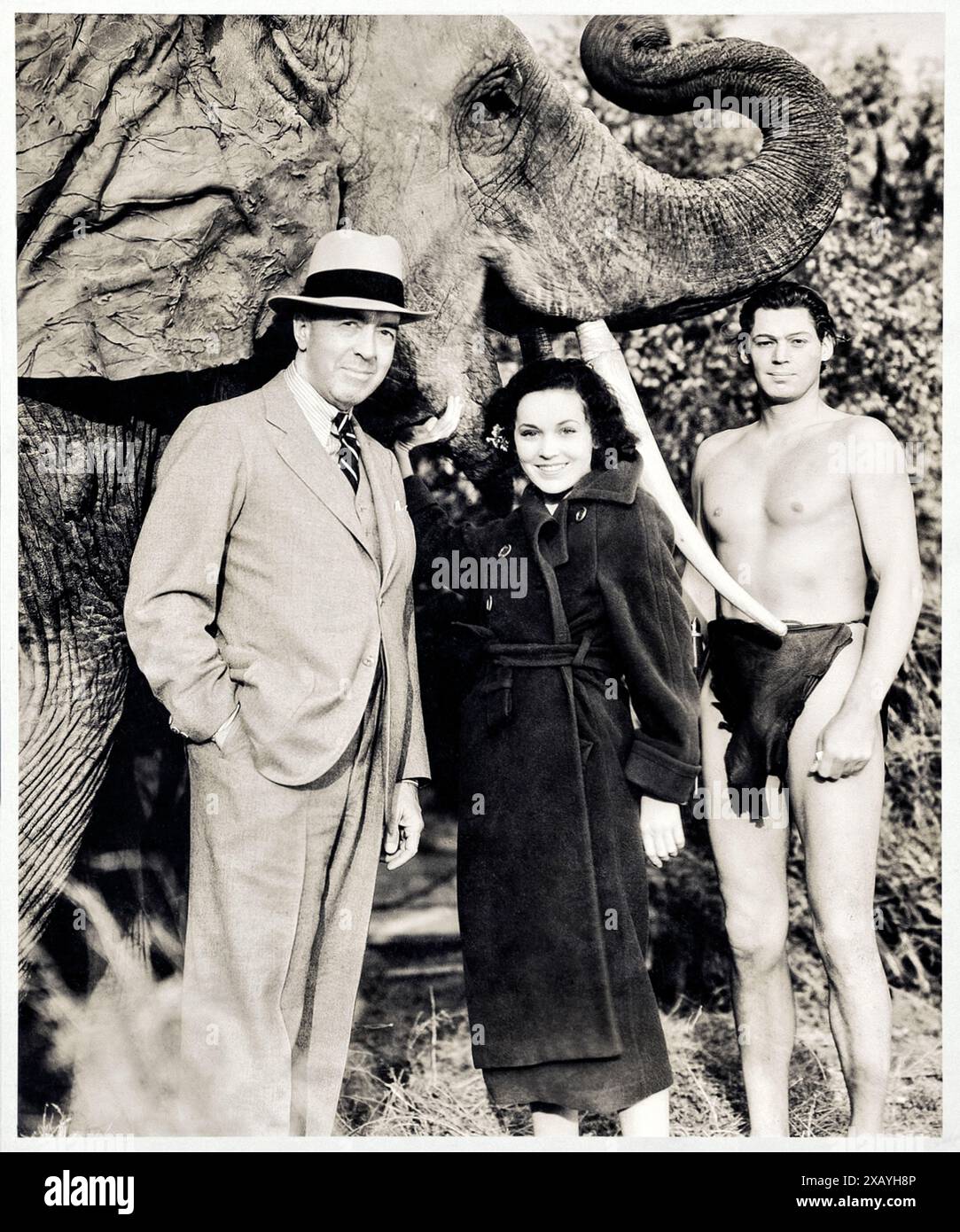 Edgar Rice Burroughs (1875-1950) con Maureen o'Sullivan (1909-1960) e Johnny Weissmuller (1904-1984) che interpretò Jane Parker e Tarzan nell'adattamento della MGM del suo romanzo del 1912 Tarzan delle scimmie. Fotografia scattata sul set di Tarzan the Ape Man (1932). Notare il falso zanne e orecchio aggiunti all'elefante indiano utilizzato nella produzione per farli assomigliare agli elefanti africani. Crediti: Collezione privata / AF fotografie Foto Stock