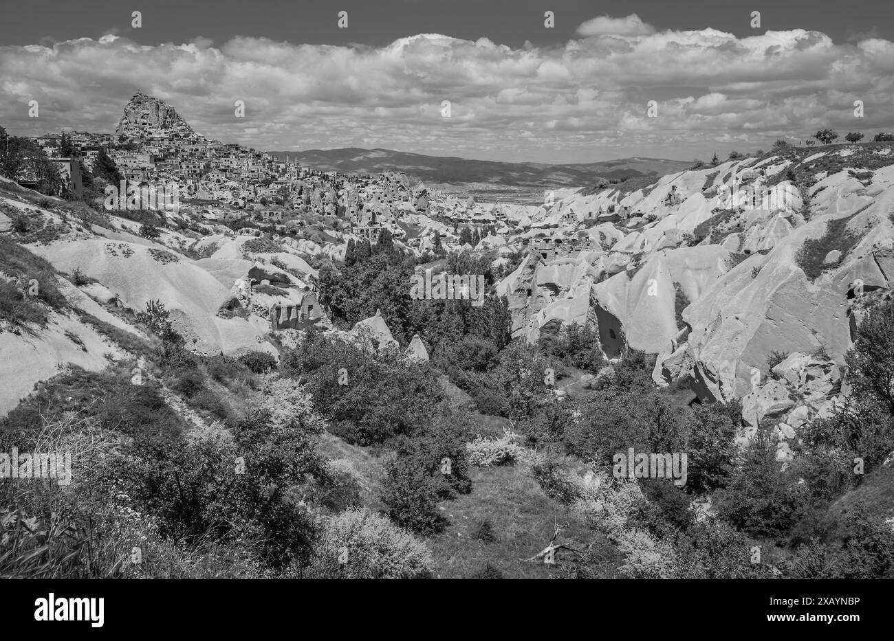 Vista sulla valle dei piccioni vicino a Uchisar. Foto Stock
