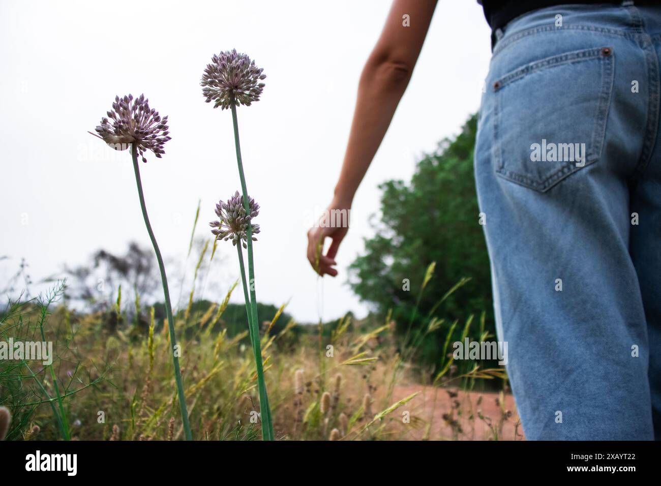 Donna in natura in una passeggiata in estate durante il giorno indossando jeans blu, vivendo uno stile di vita sano, erba verde, alberi e fiori Foto Stock