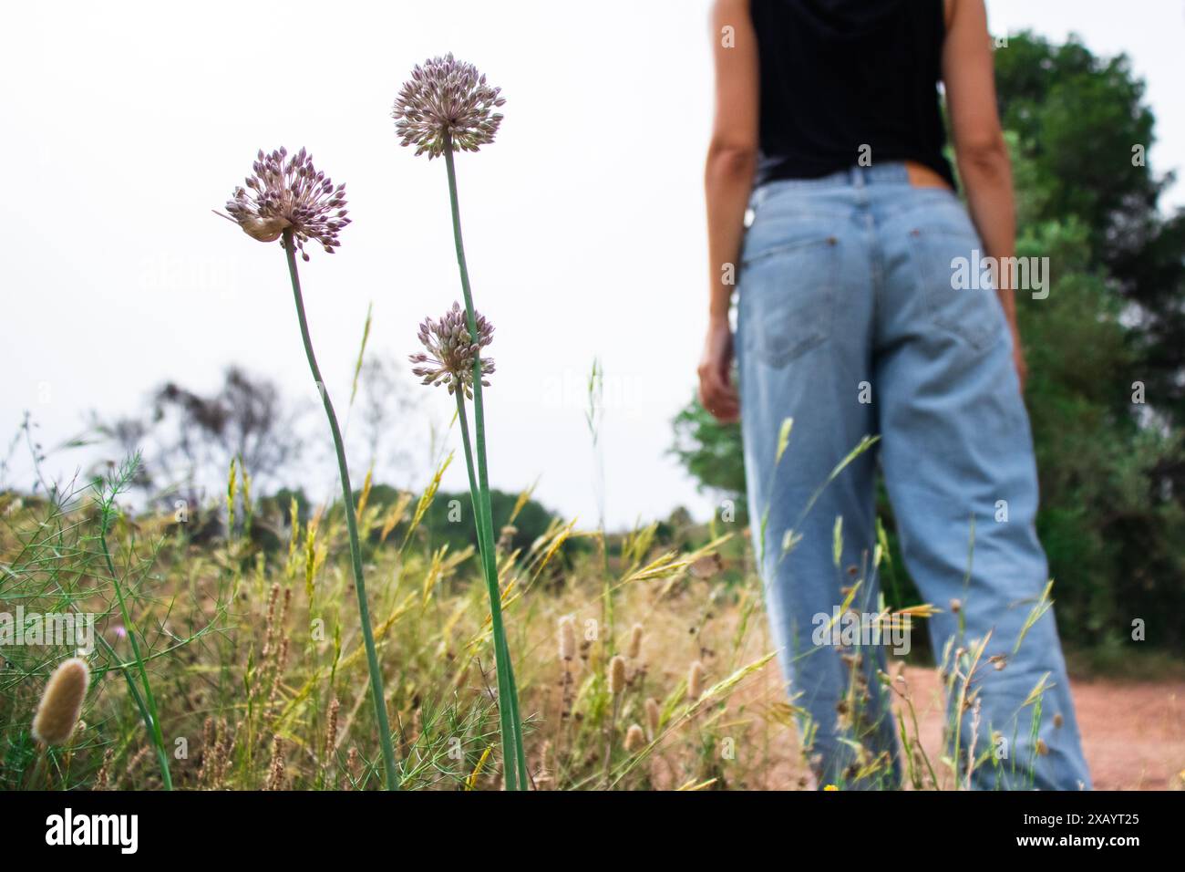 Donna in natura in una passeggiata in estate durante il giorno indossando jeans blu, vivendo uno stile di vita sano, erba verde, alberi e fiori Foto Stock