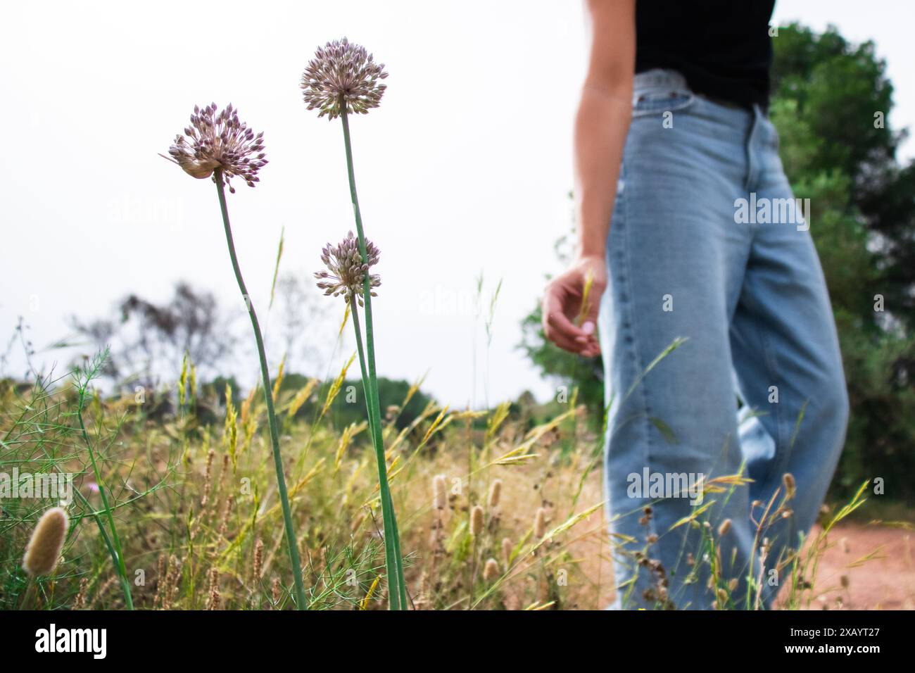 Donna in natura in una passeggiata in estate durante il giorno indossando jeans blu, vivendo uno stile di vita sano, erba verde, alberi e fiori Foto Stock