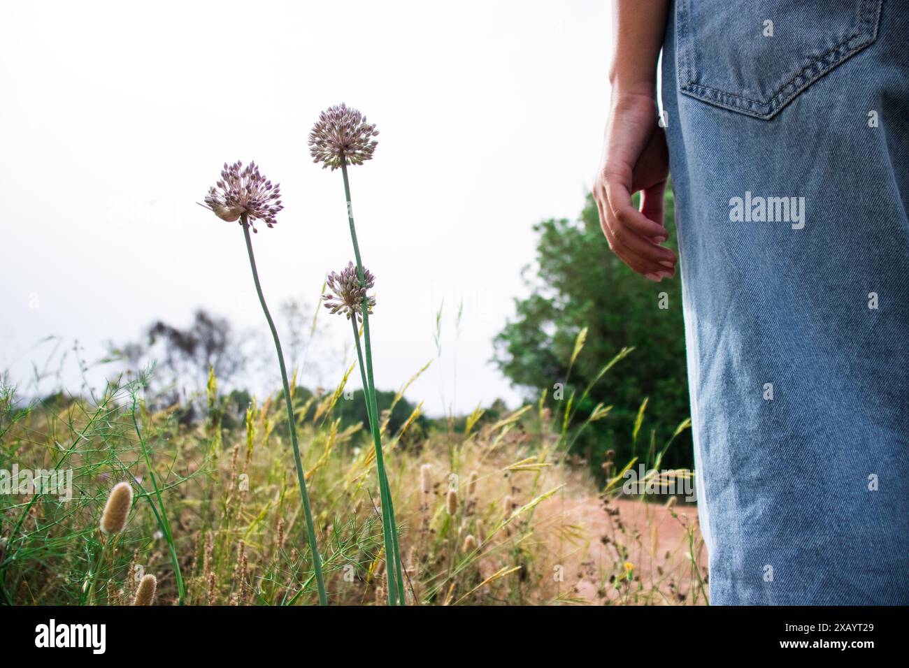 Donna in natura in una passeggiata in estate durante il giorno indossando jeans blu, vivendo uno stile di vita sano, erba verde, alberi e fiori Foto Stock