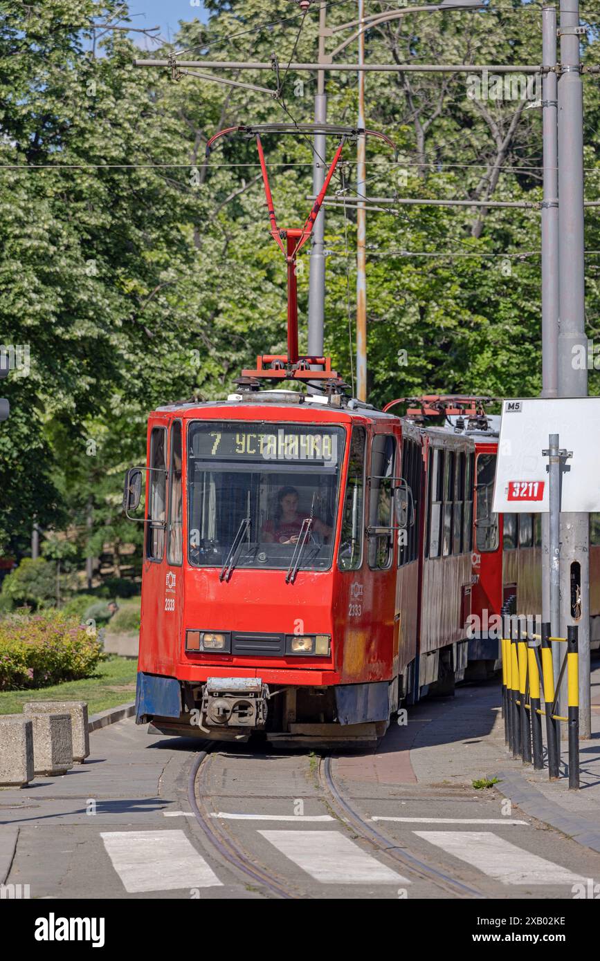Belgrado, Serbia - 13 maggio 2024: Vista frontale del tram rosso numero sette, trasporto pubblico nella giornata primaverile della capitale. Foto Stock