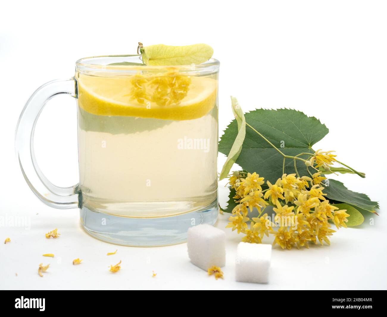 Tazza di tè al tiglio e fiori di tiglio Foto Stock