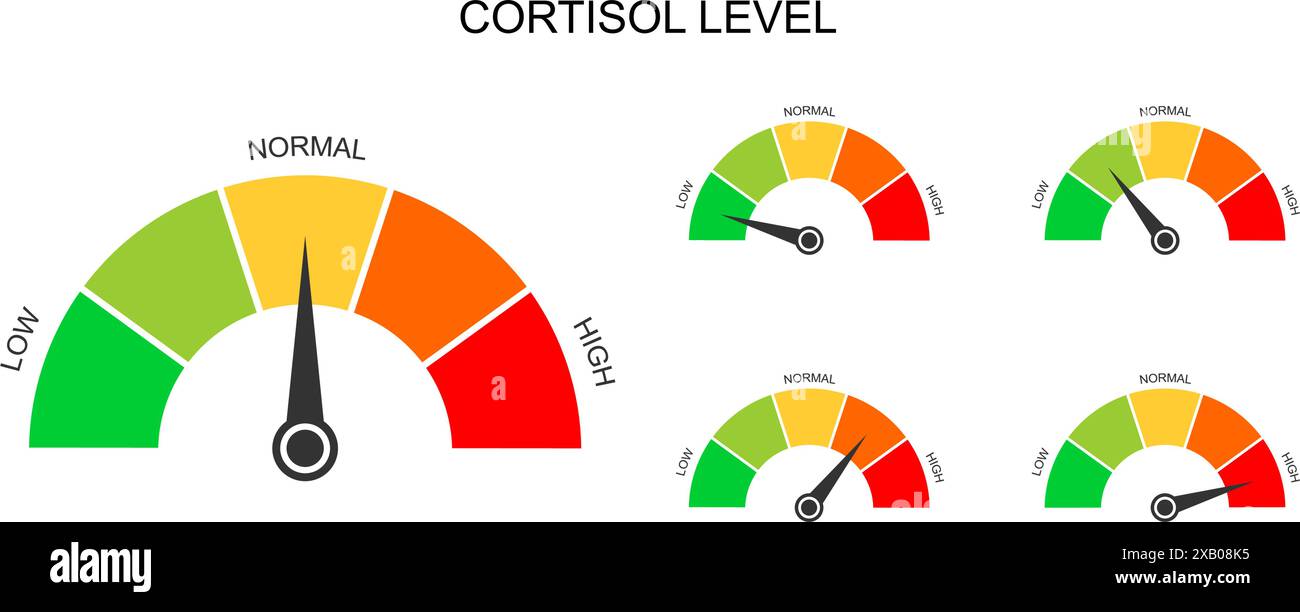 Set di misuratori di cortisolo. Livelli di ormone della risposta allo stress corporeo. Grafici rotondi con freccia da bassa a alta, isolati su sfondo bianco. Illustrazione piatta vettoriale. Illustrazione Vettoriale