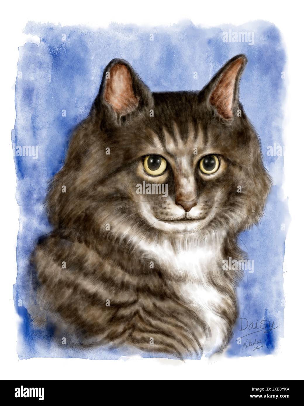 Ritratto di un gatto tabby a pelo lungo di colore grigio. Disegno di pittura ad acquerello. Animali domestici. Foto Stock