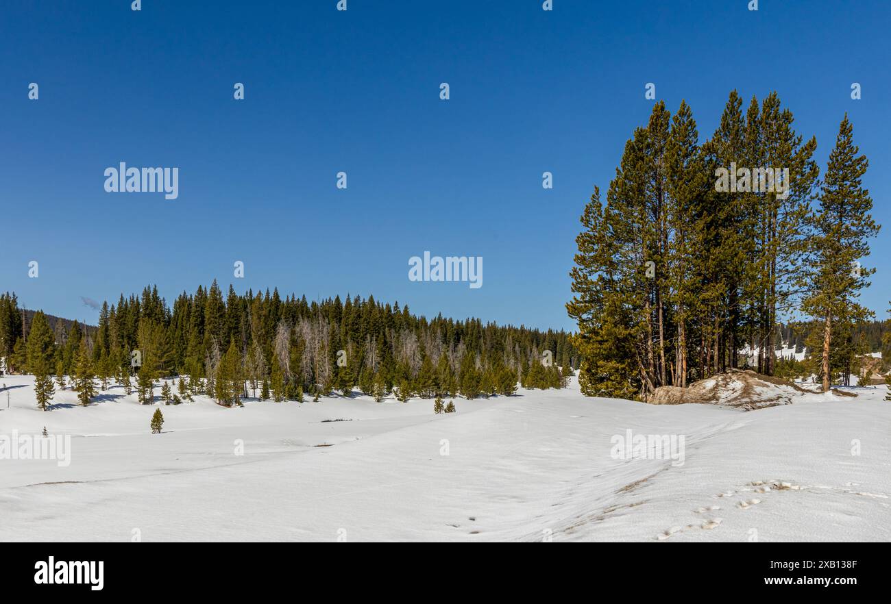 Innevato Cameron Pass alla fine di maggio in Colorado Foto Stock