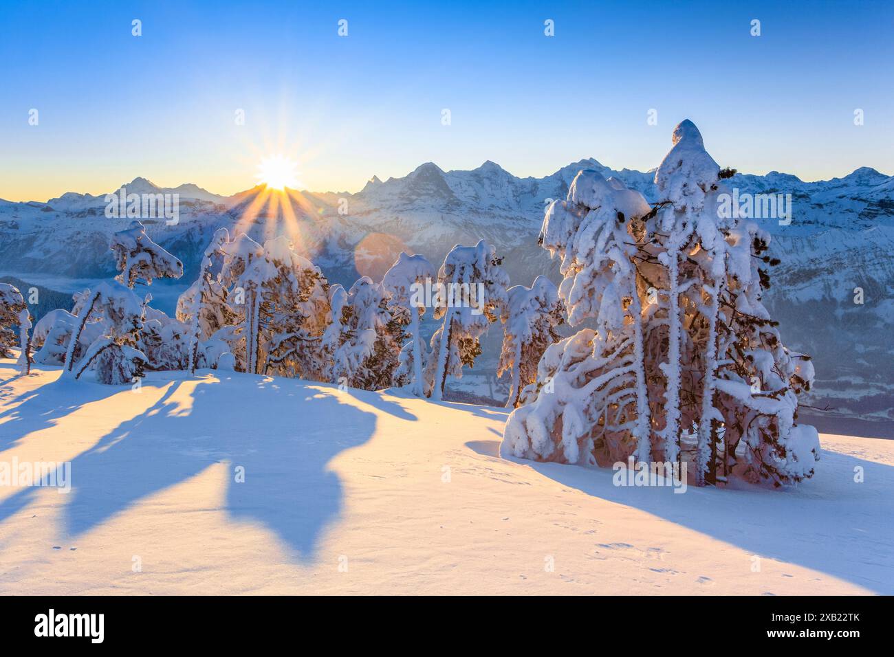 Geografia / viaggi, Svizzera, Alpi Bernesi, vista dal Niederhorn, USO NON ESCLUSIVO PER BIGLIETTI-AUGURI-CARTOLINE-CARTOLINE-BIGLIETTI-CARTOLINE-BIGLIETTI-BIGLIETTI-BIGLIETTI-BIGLIETTI-BIGLIETTI-BIGLIETTI-BIGLIETTI-BIGLIETTI Foto Stock