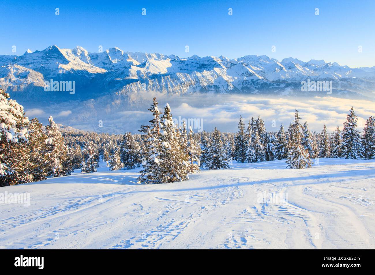 Geografia / viaggi, Svizzera, Alpi Bernesi, vista dal Niederhorn, USO NON ESCLUSIVO PER BIGLIETTI-AUGURI-CARTOLINE-CARTOLINE-BIGLIETTI-CARTOLINE-BIGLIETTI-BIGLIETTI-BIGLIETTI-BIGLIETTI-BIGLIETTI-BIGLIETTI-BIGLIETTI-BIGLIETTI Foto Stock
