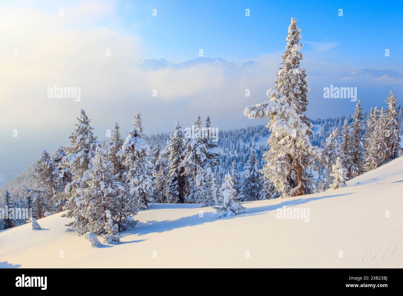 Geografia / viaggi, Svizzera, Alpi Bernesi, vista dal Niederhorn, USO NON ESCLUSIVO PER BIGLIETTI-AUGURI-CARTOLINE-CARTOLINE-BIGLIETTI-CARTOLINE-BIGLIETTI-BIGLIETTI-BIGLIETTI-BIGLIETTI-BIGLIETTI-BIGLIETTI-BIGLIETTI-BIGLIETTI Foto Stock