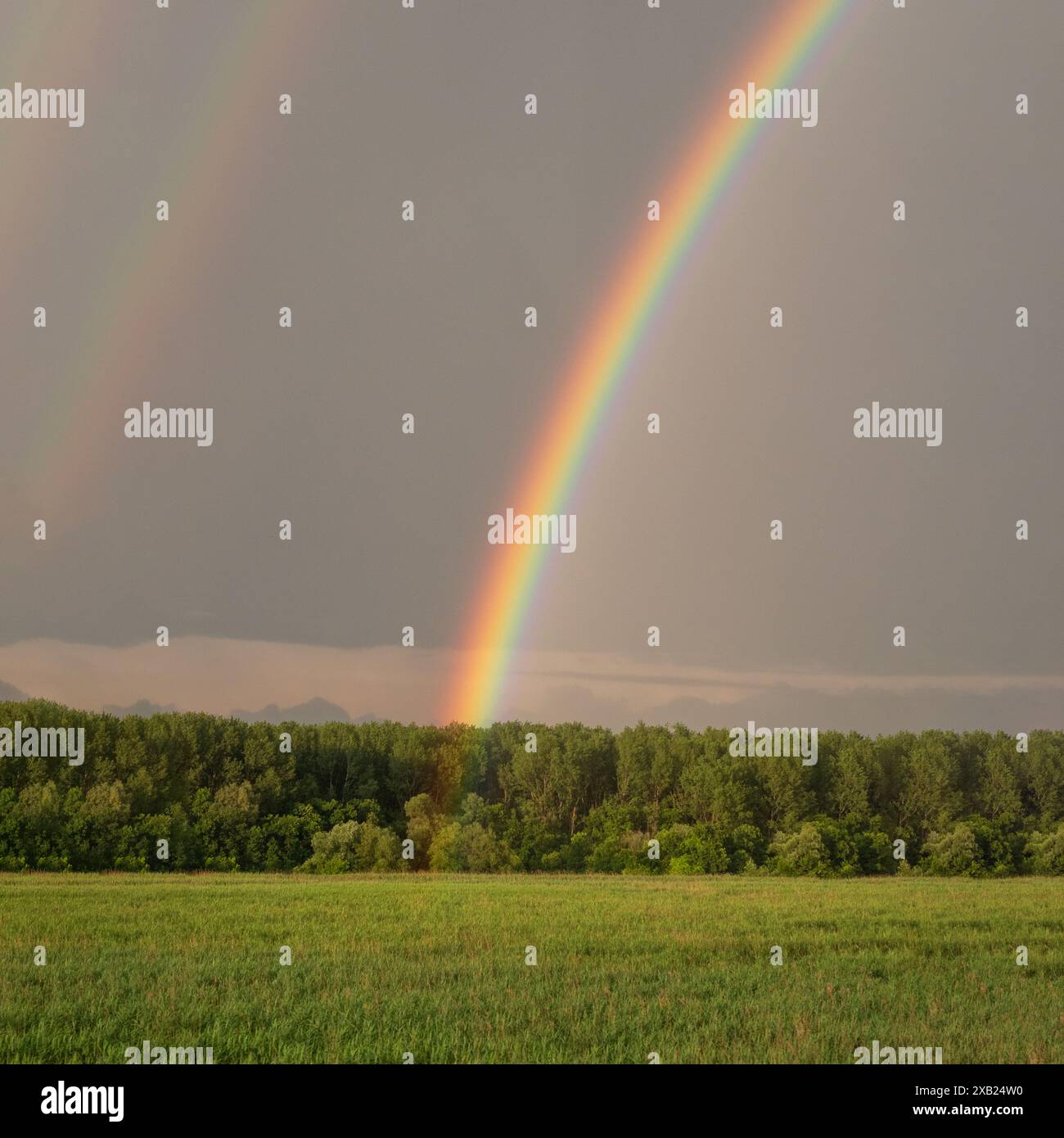 Arcobaleno sul Danubio al tramonto. Foto Stock